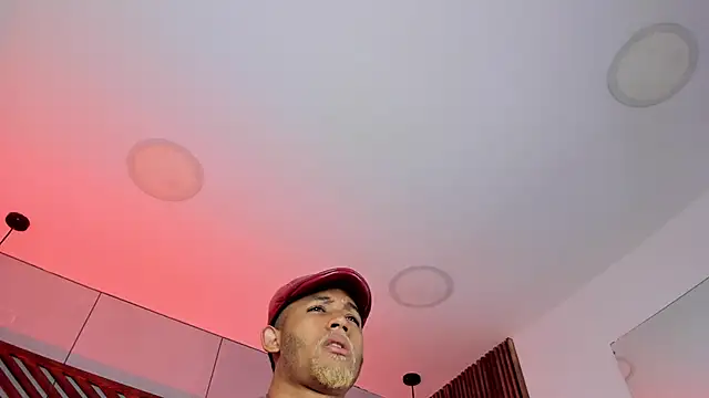 B_Wild webcam