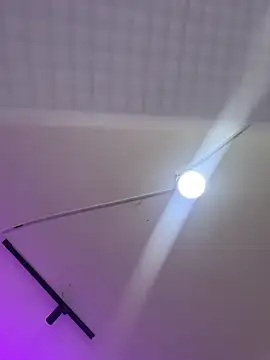diane_bunny webcam