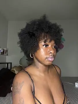 TinyBlazian901 webcam