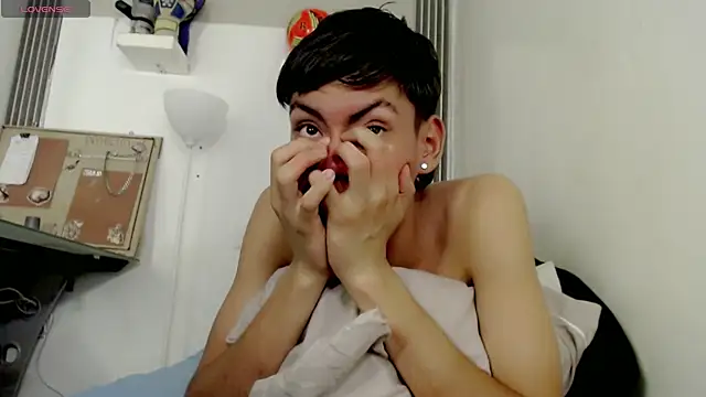 Liarr_ webcam