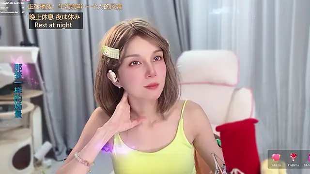 hi-AnAn webcam