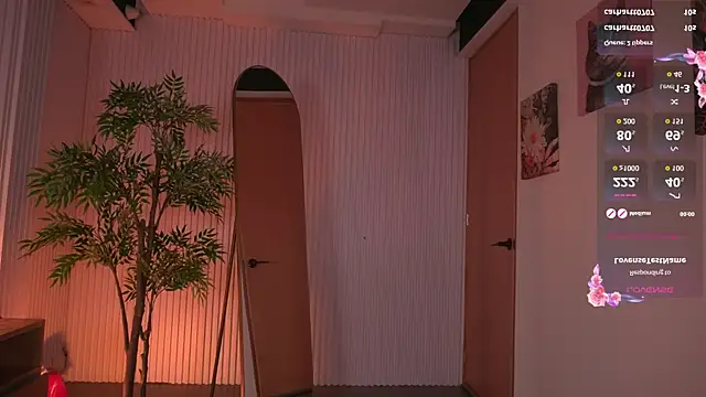 Paris_0 webcam
