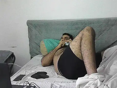 IronSideBear live cam on StripChat