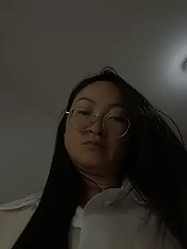 h-139431 webcam