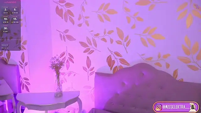 Misselektra__ webcam