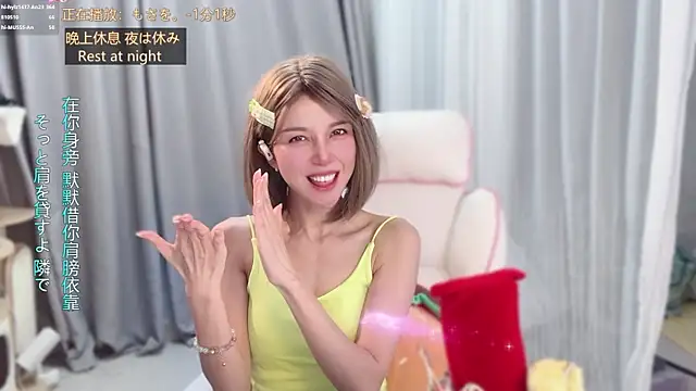 hi-AnAn webcam