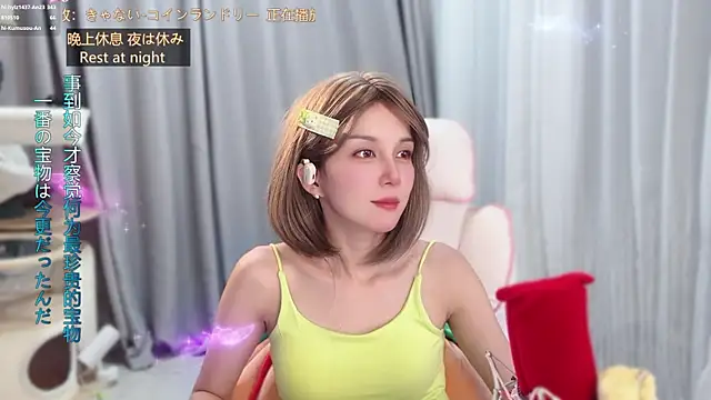 hi-AnAn webcam