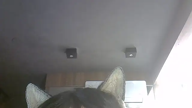 SkinnyKitten webcam