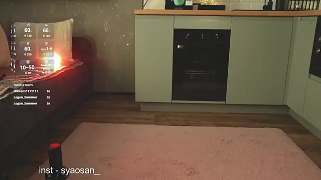 Arlitik webcam