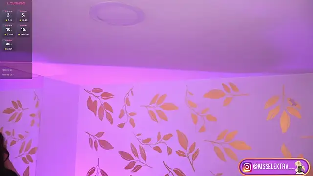 Misselektra__ webcam