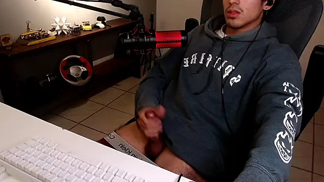Thieves9 webcam