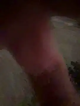 bttmpalermo