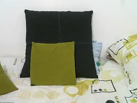 EnchantedVee webcam