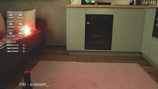Arlitik webcam