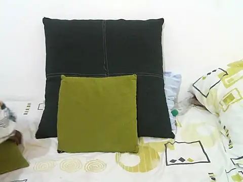 EnchantedVee webcam