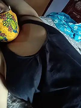 Hansikatelugu webcam