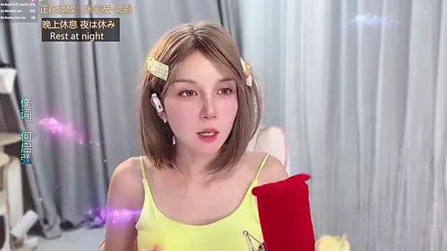hi-AnAn webcam