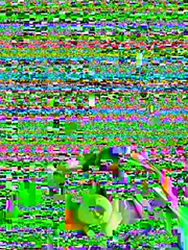 Noitelivre webcam