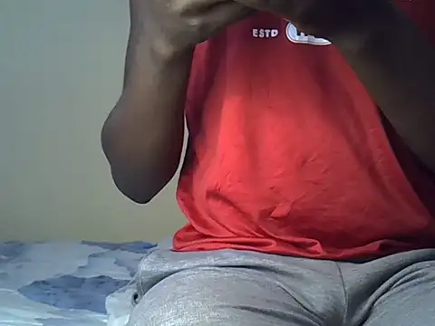 Tikobs webcam