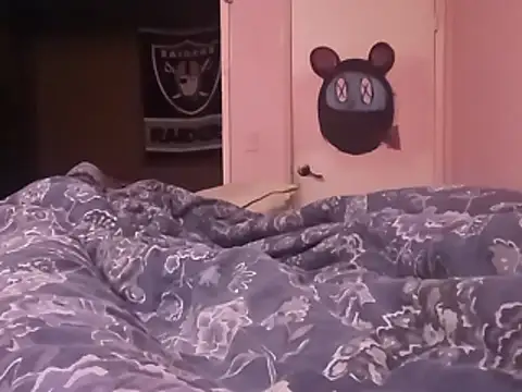 Blkstylion webcam