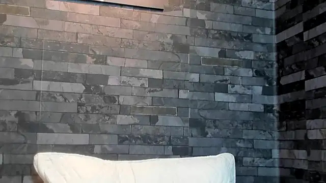 BruceDallas webcam