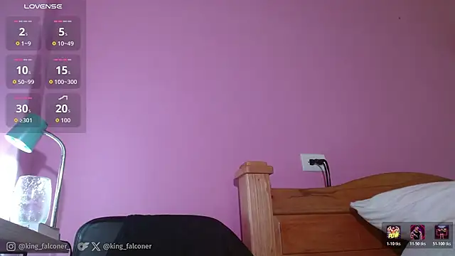 king_falconer webcam