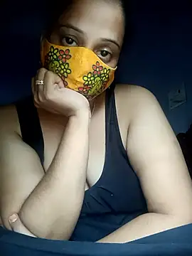 Hansikatelugu webcam