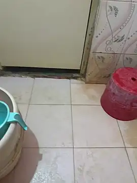 Teluguhyd webcam