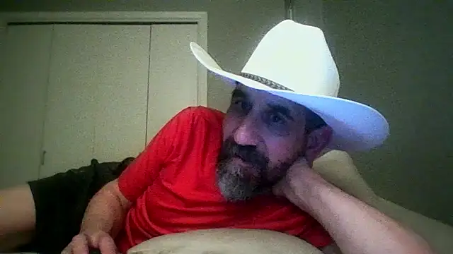 old_Domino webcam