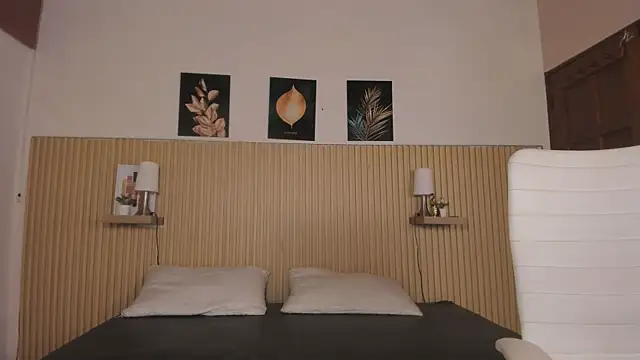 LittleNoor live cam