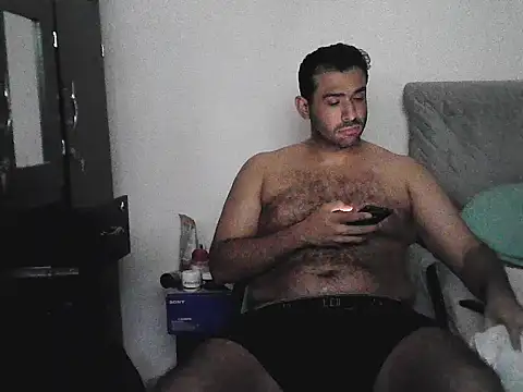IronSideBear webcam