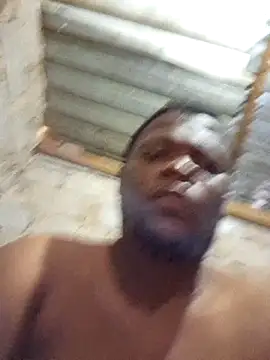 silverbearboy webcam