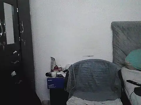 IronSideBear webcam