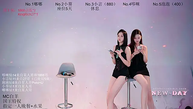 NEW-DAY webcam