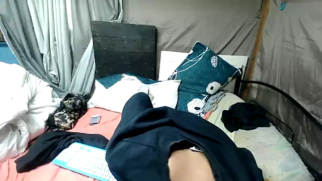 Camodick webcam