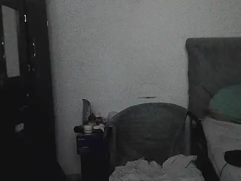 IronSideBear webcam