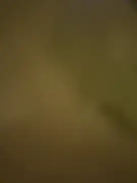 Stressreliever82 webcam