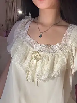 IN_ha1 webcam