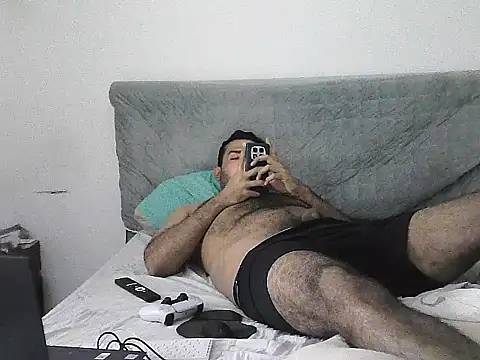 IronSideBear webcam
