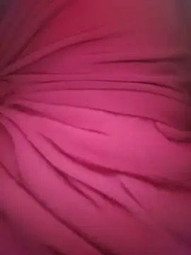 Ruby_Lucy webcam