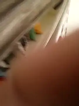 nick05inch webcam