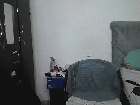 IronSideBear webcam