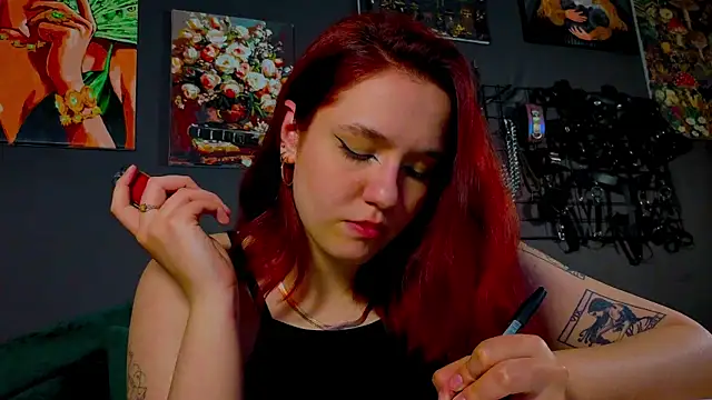 Serve_to_Alexa webcam