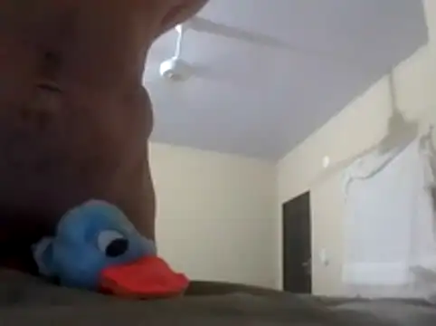 Kartucho06 webcam
