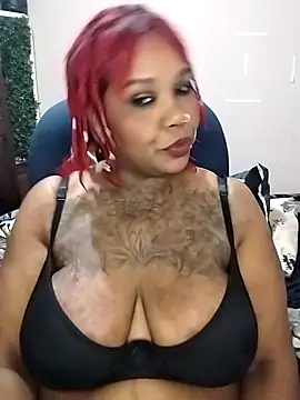Javel123 webcam