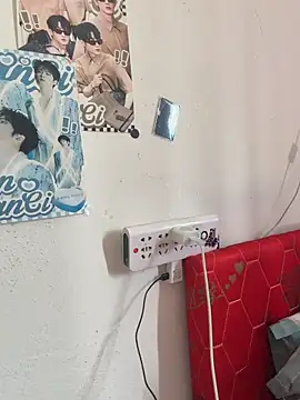 heting5209 webcam