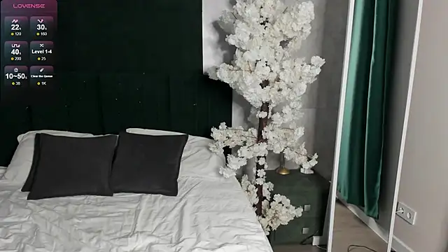 LiraRevery webcam