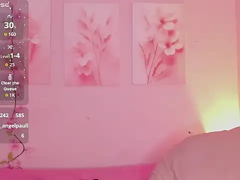 Amberblade webcam