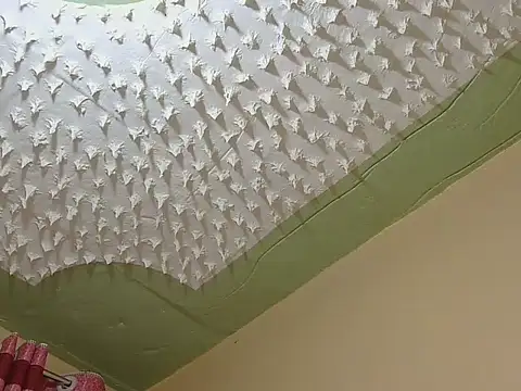 sofia-lit webcam