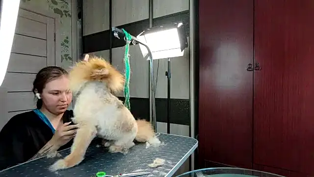 DainaCampagnini webcam